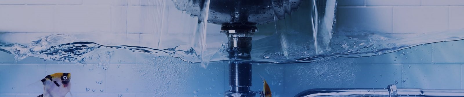 Desentupidora e Limpa Fossa (SEROPÉDICA/RJ), desentupidoras rj